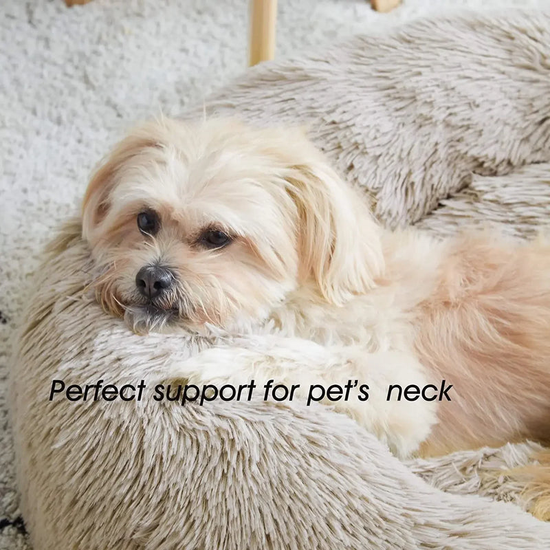 Super Cama para Gatos e Cachorros